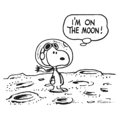 Super7 Peanuts T-Shirt - Snoopy On The Moon Ringer